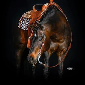 Meet your Posher, Bethany